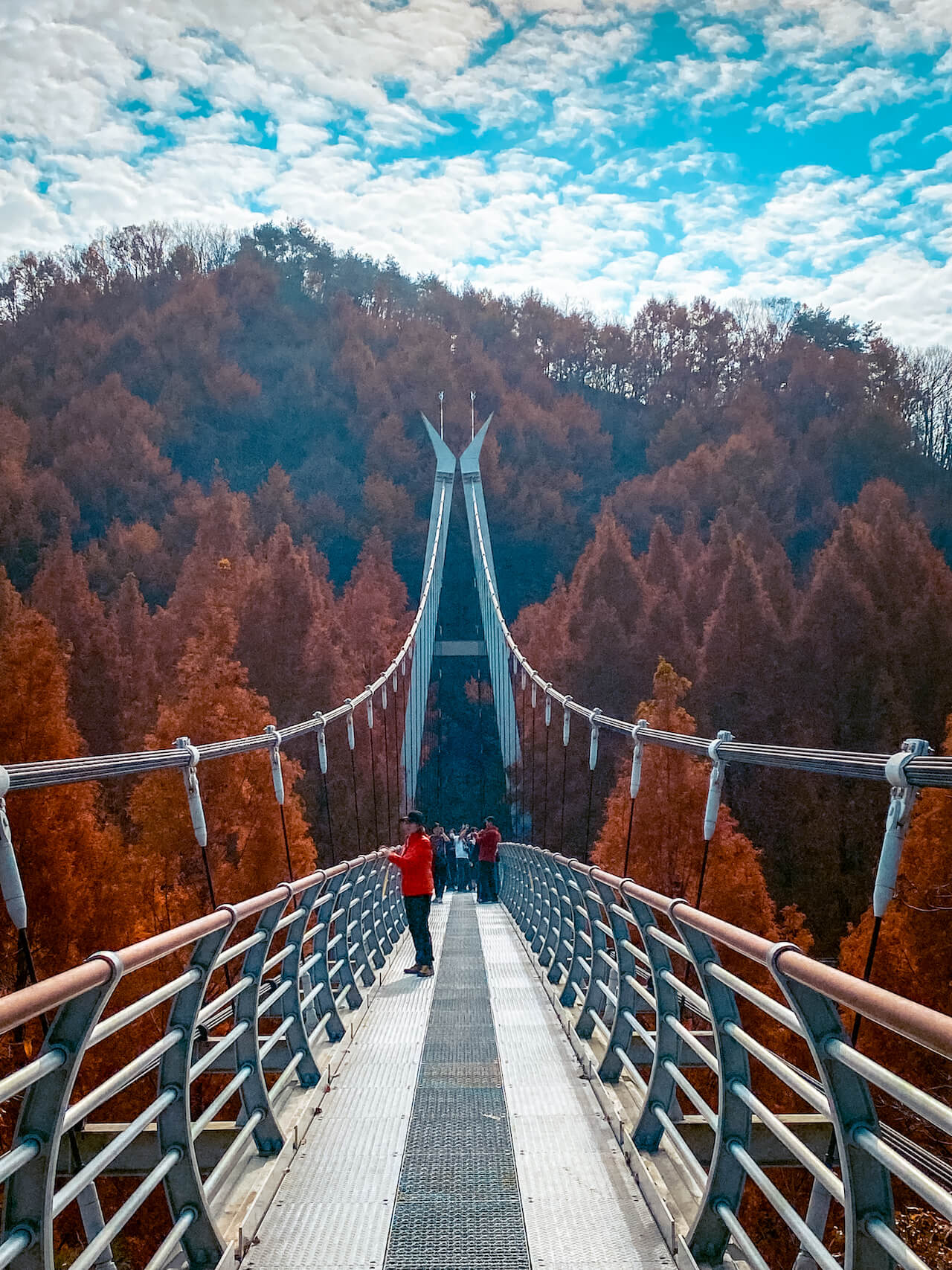 jangtaesan forest | suspension bridge in autumn