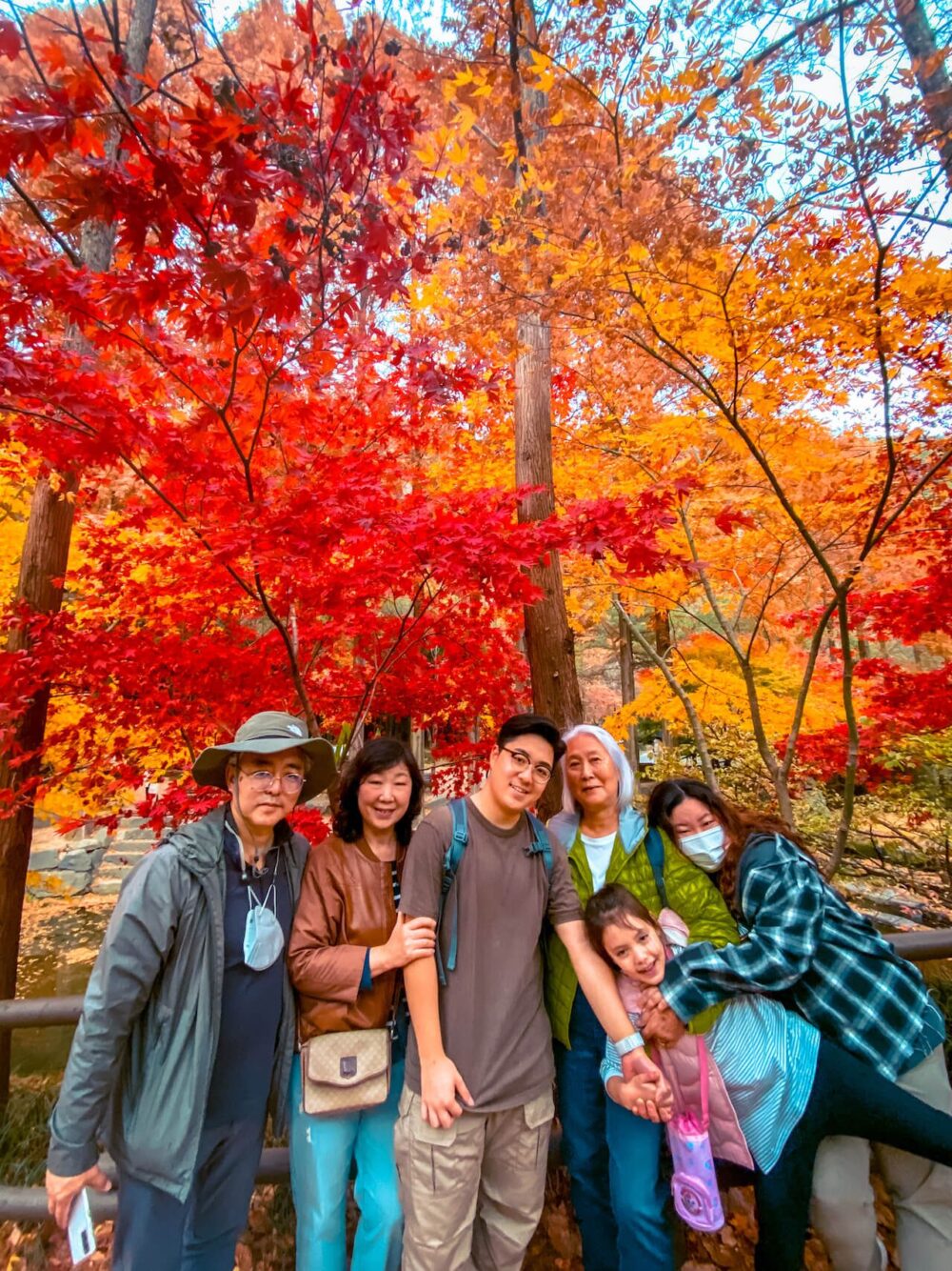 korea in autumn | jangtaesan recreational forest