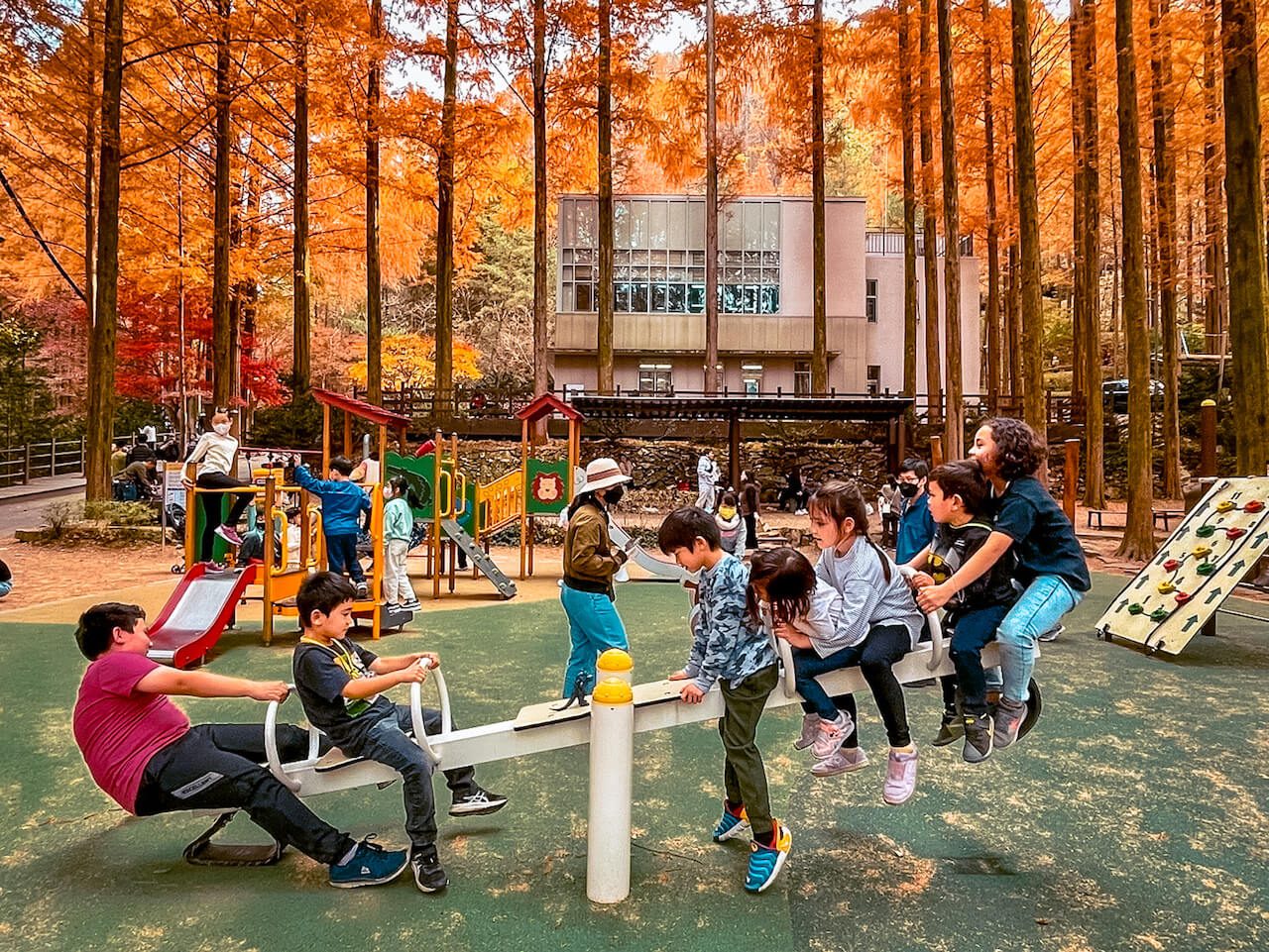 jangtaesan recreational forest playground