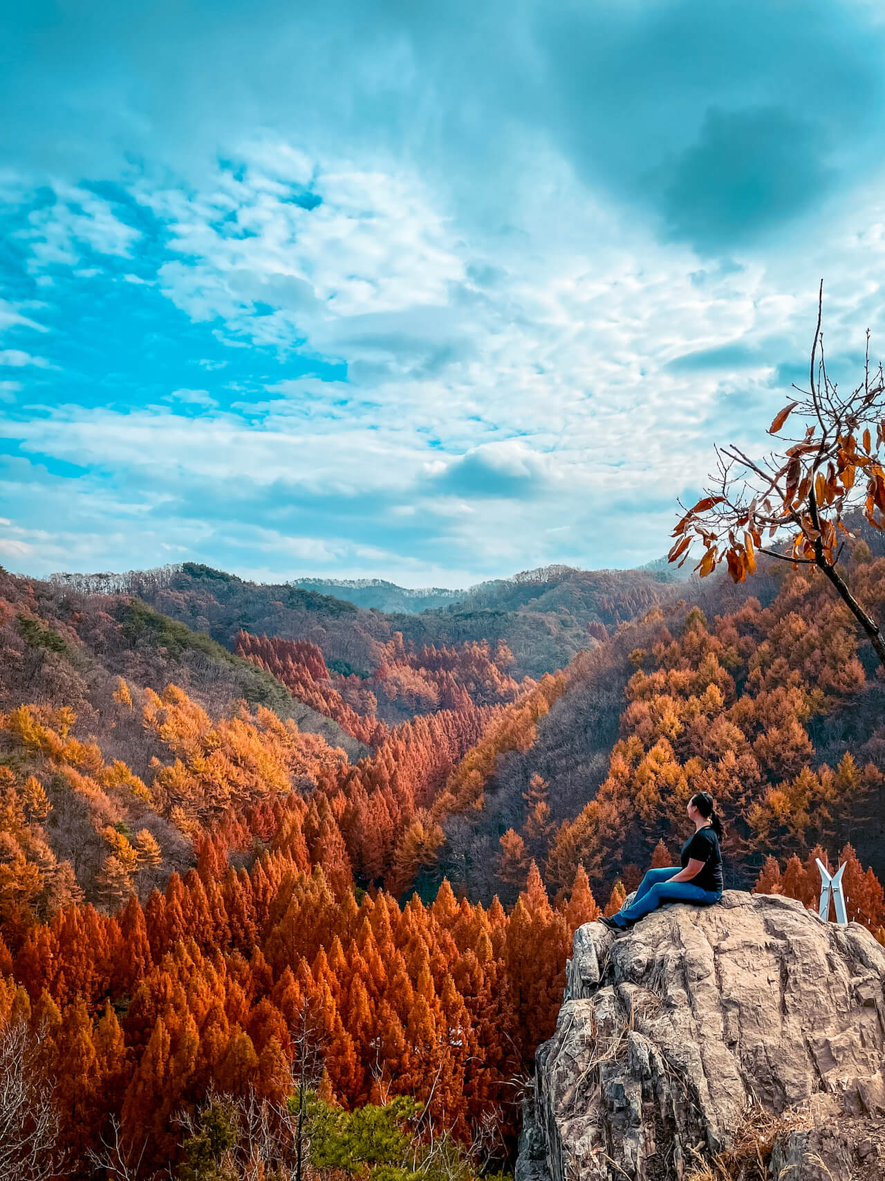 daejeon | jangtaesan recreational forest in autumn