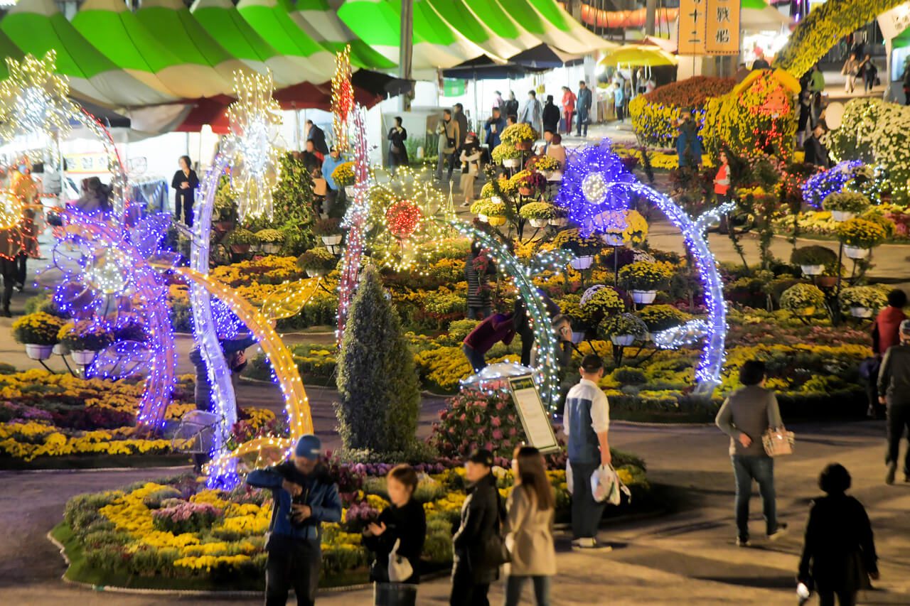 korea in november | masan chrysanthemum festival