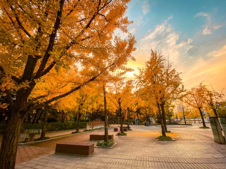 South Korea In November Weather, What To Wear + Best Things To Do In Seoul And Beyond » Travel