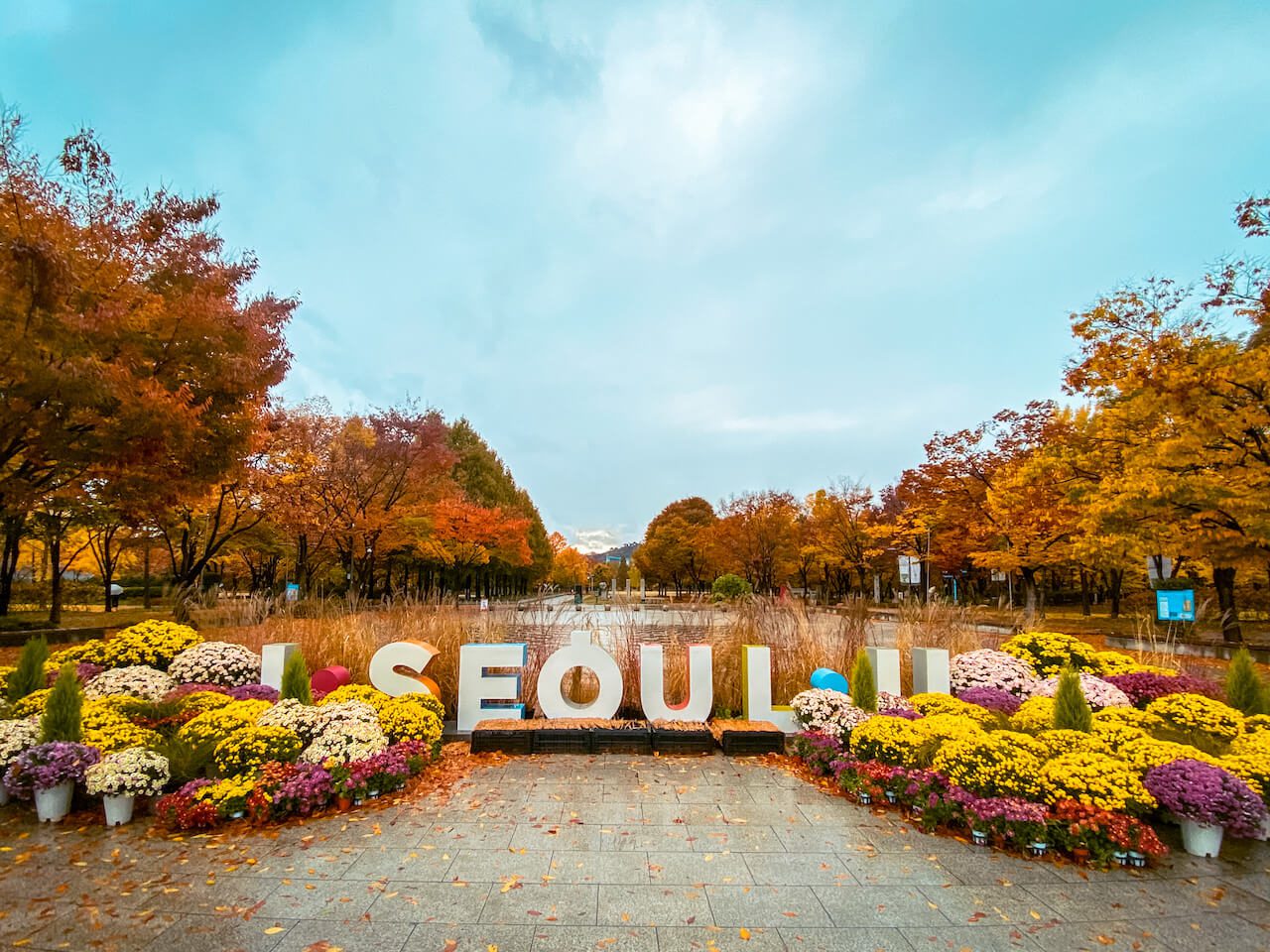 november in south korea | seoul forest