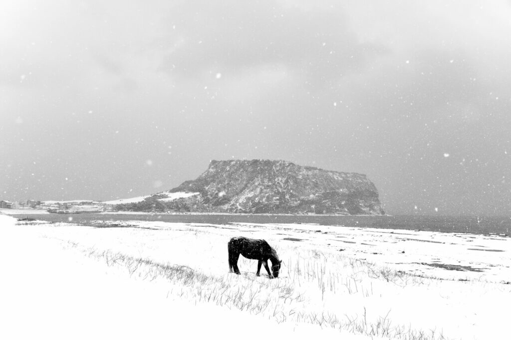 Korea weather in february