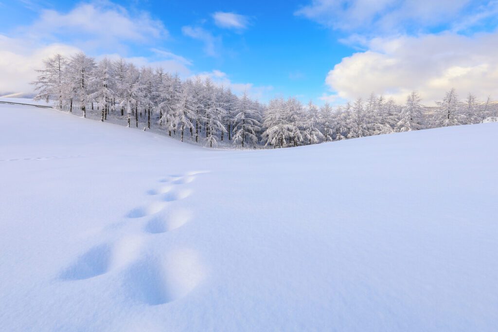 Weather in South Korea February Conditions