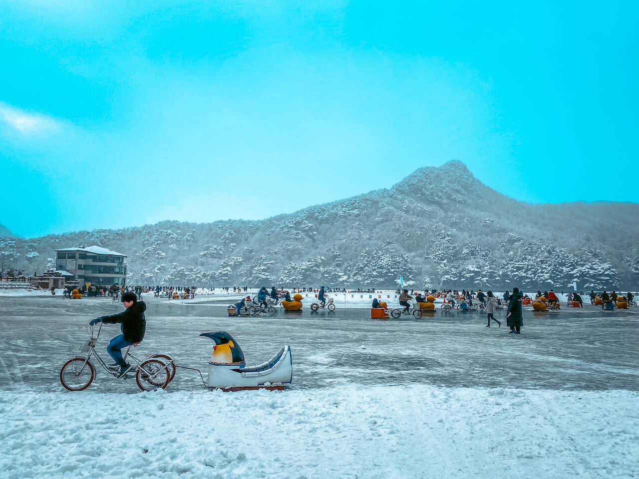 winter in korea | sanjeong lake sledding festival