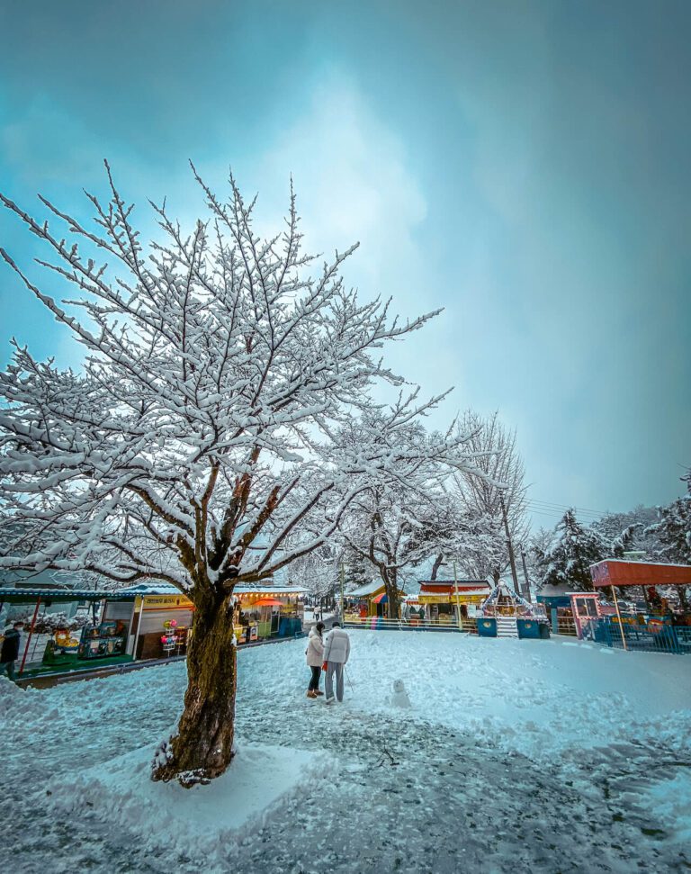 korea in february | pocheon