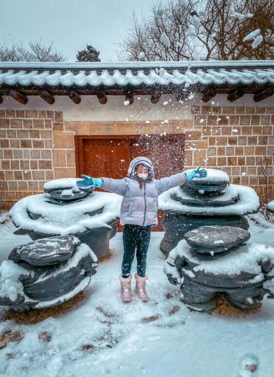 february in south korea | deoksugung stone wall road