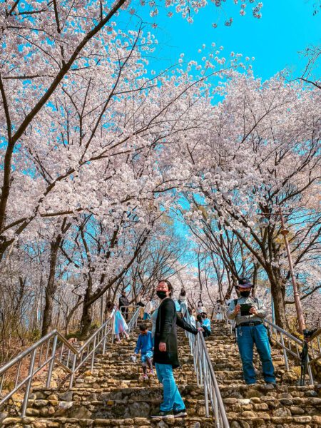 Korea In March 2025 | Weather + Best Festivals In Seoul And Beyond