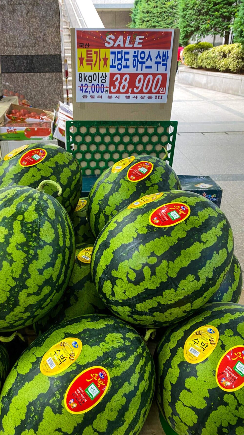 korea in june | watermelons