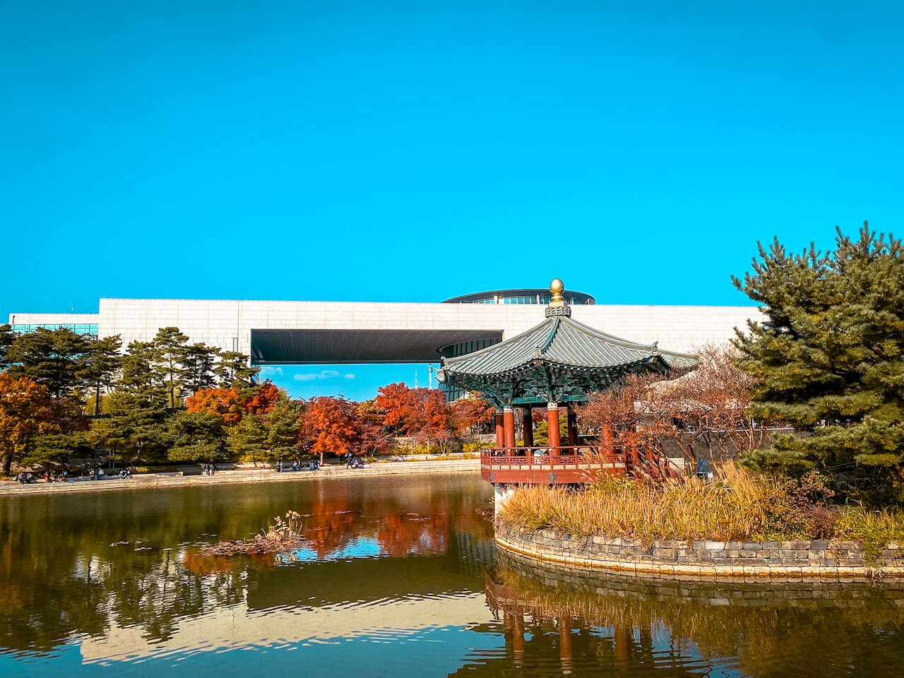 indoor attractions in seoul | national museum of korea