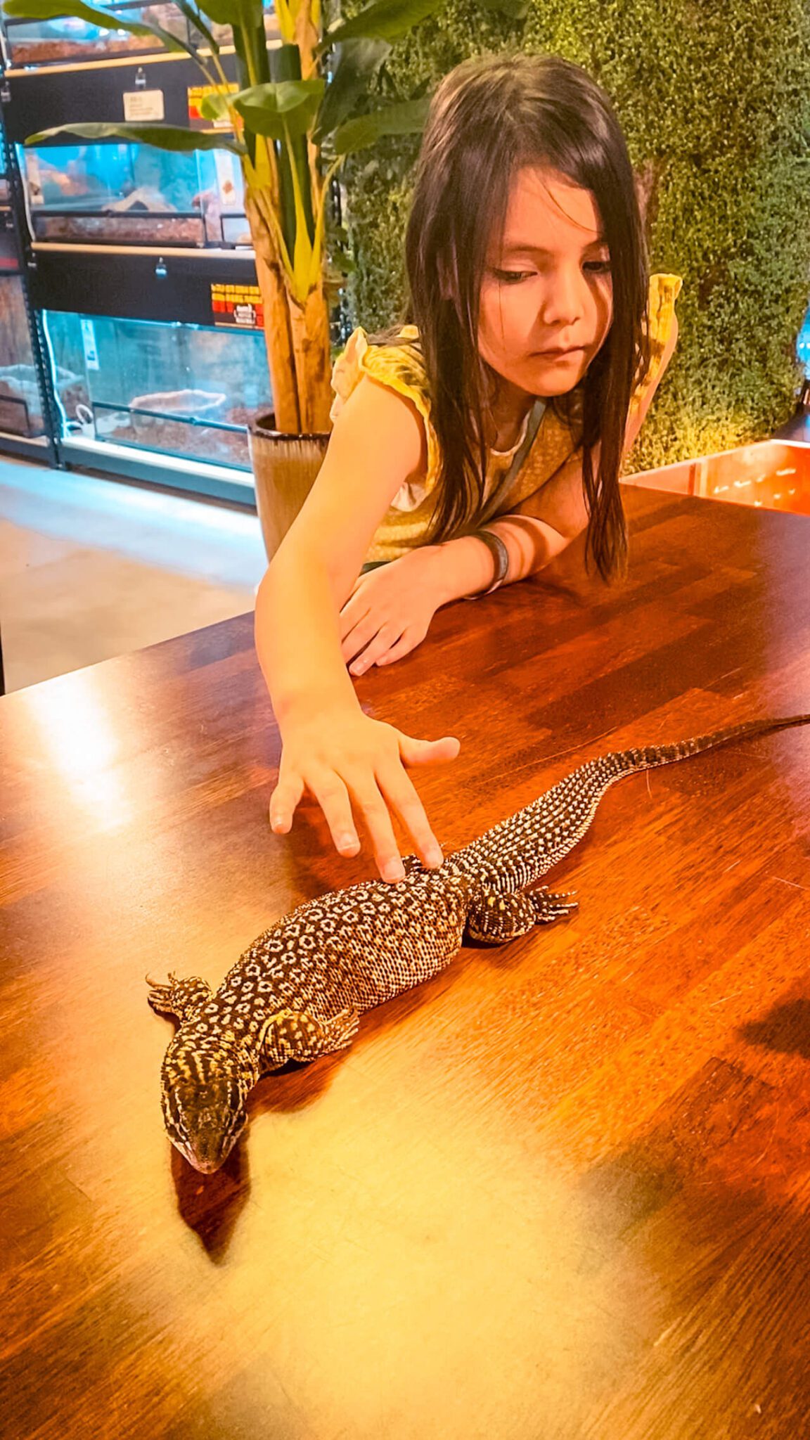 things to do indoors in seoul with kids | animal cafes