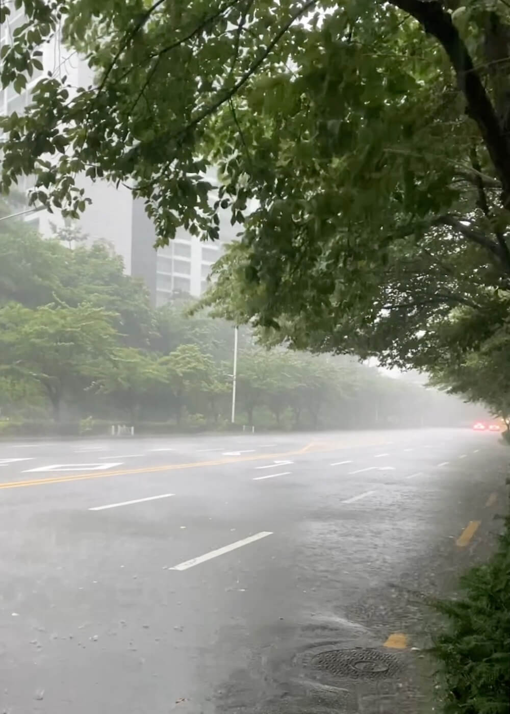 rainy day in seoul