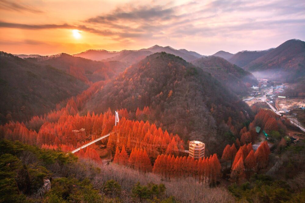 daejeon | jangtaesan recreational forest