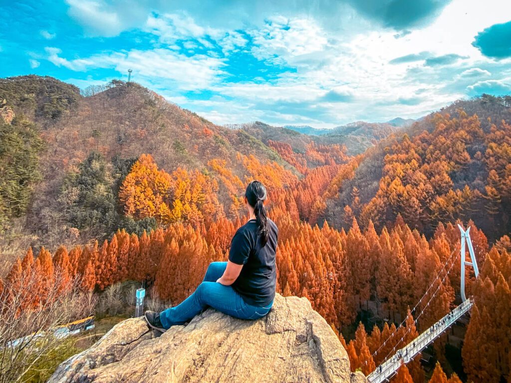 jangtaesan recreational forest in autumn