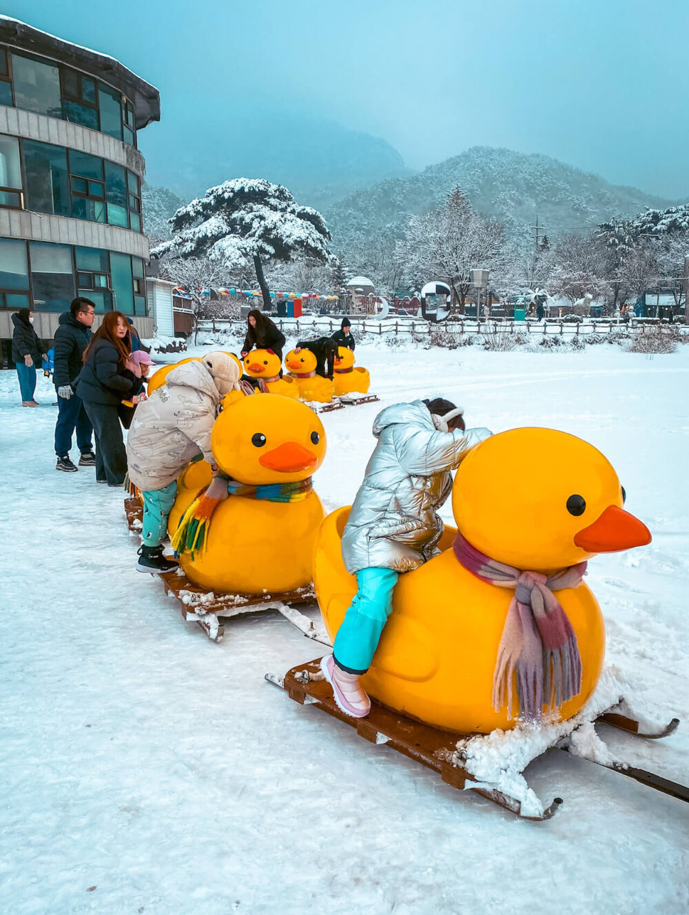 sanjeong lake sledding festival | rubber duck train