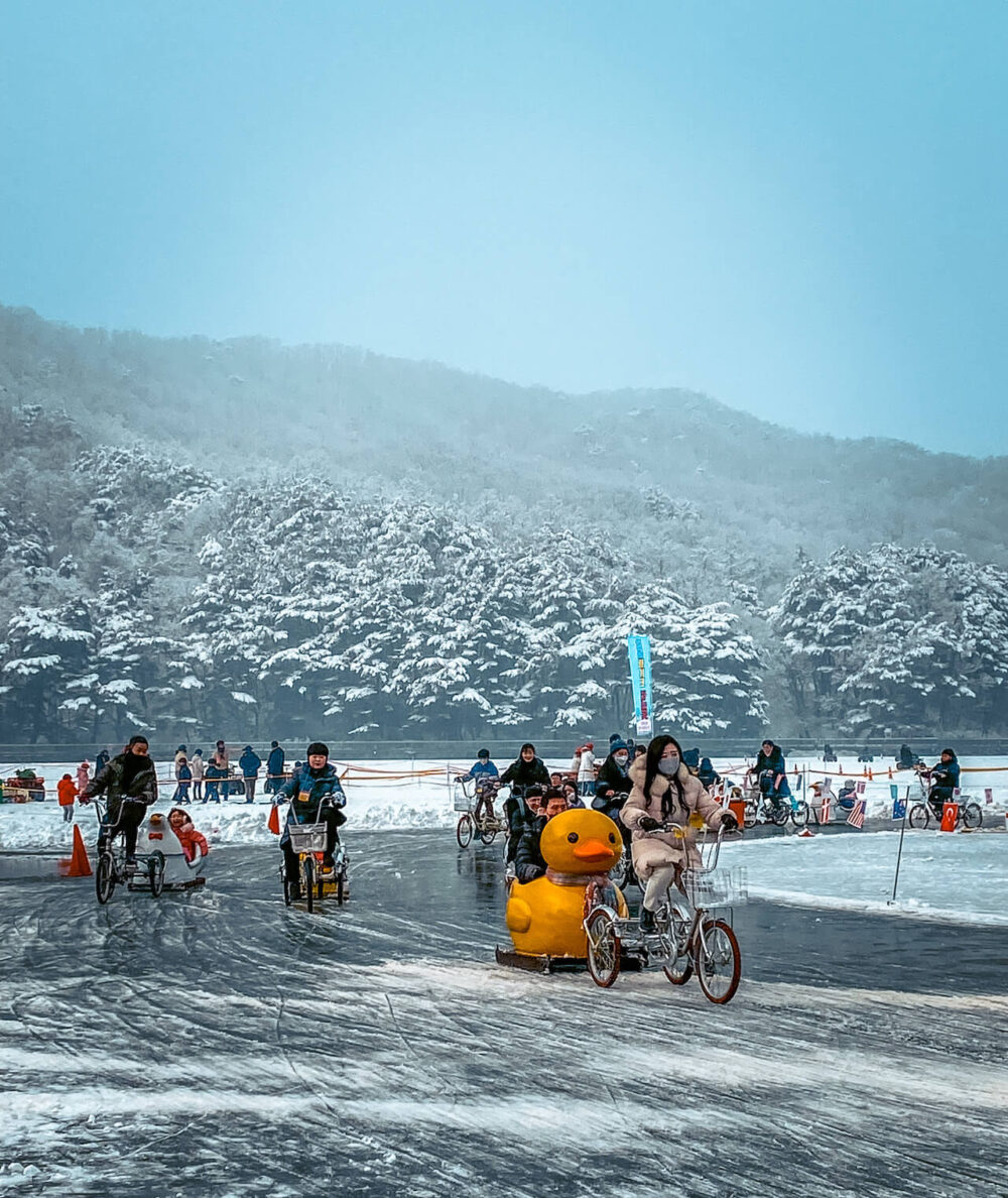 sanjeong lake sledding festival | tricycle with duck