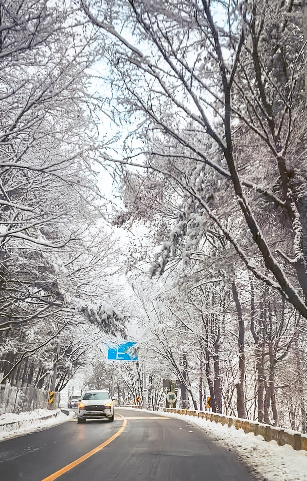 Korea in january | snowy road