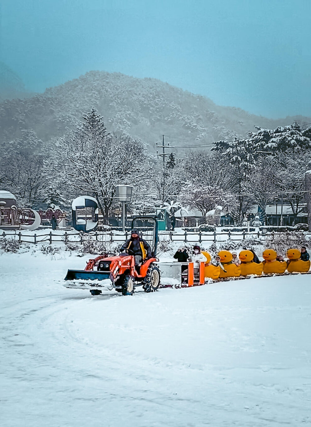 sanjeong lake sledding festival | rubber duck sled / train