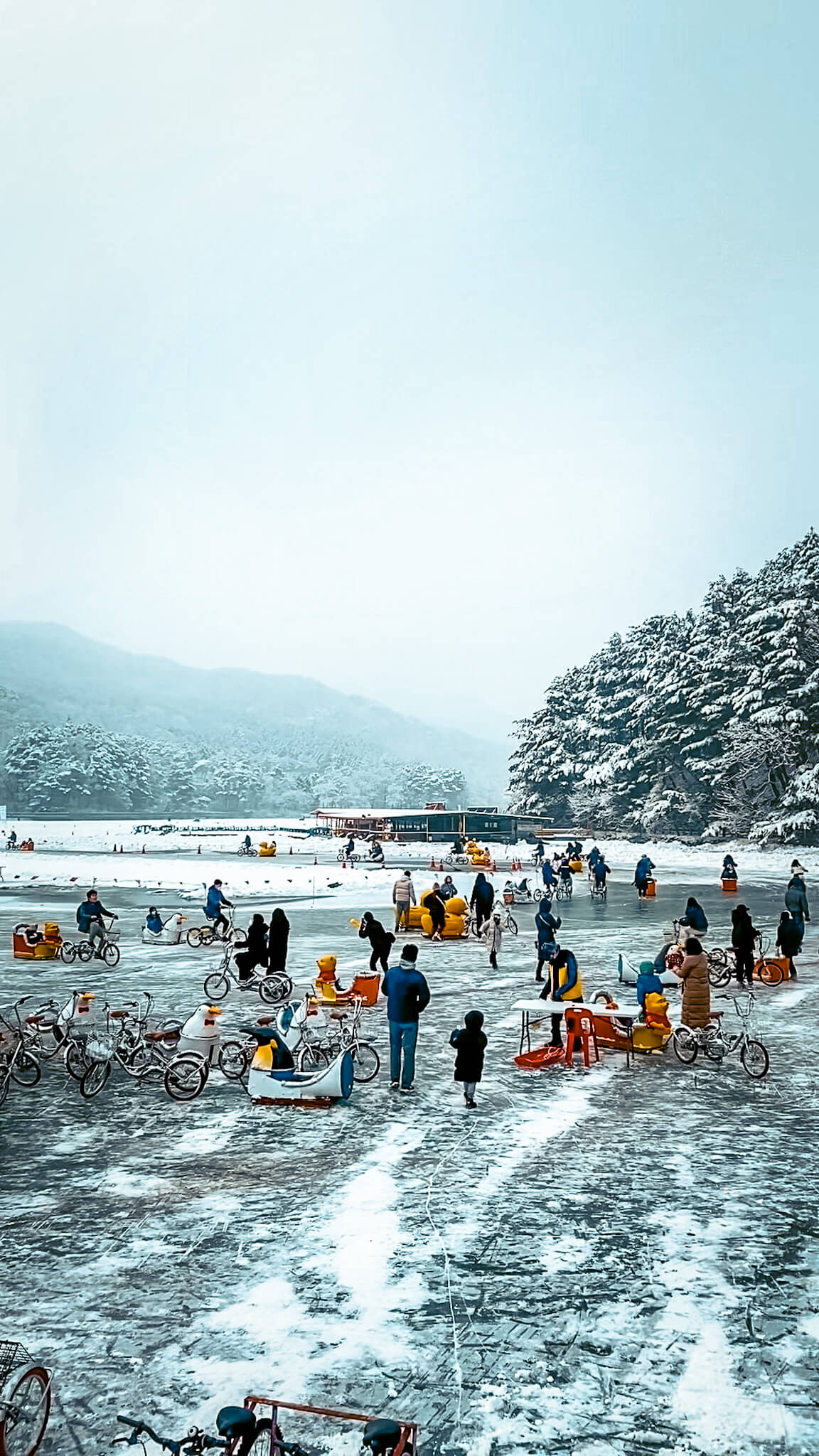 pocheon | sanjeong lake sledding festival