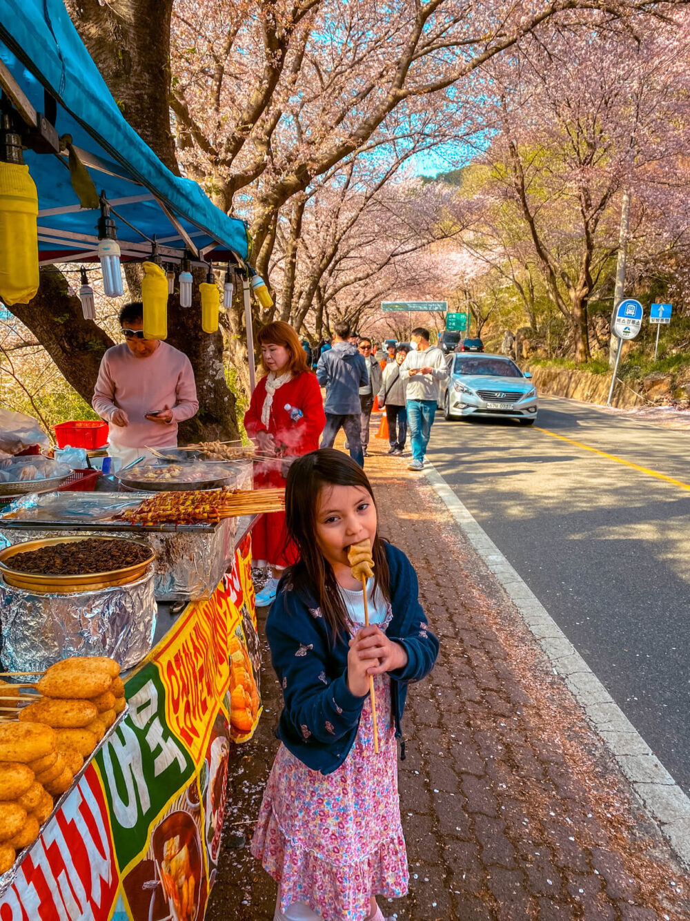 simni cherry blossom road in hadong