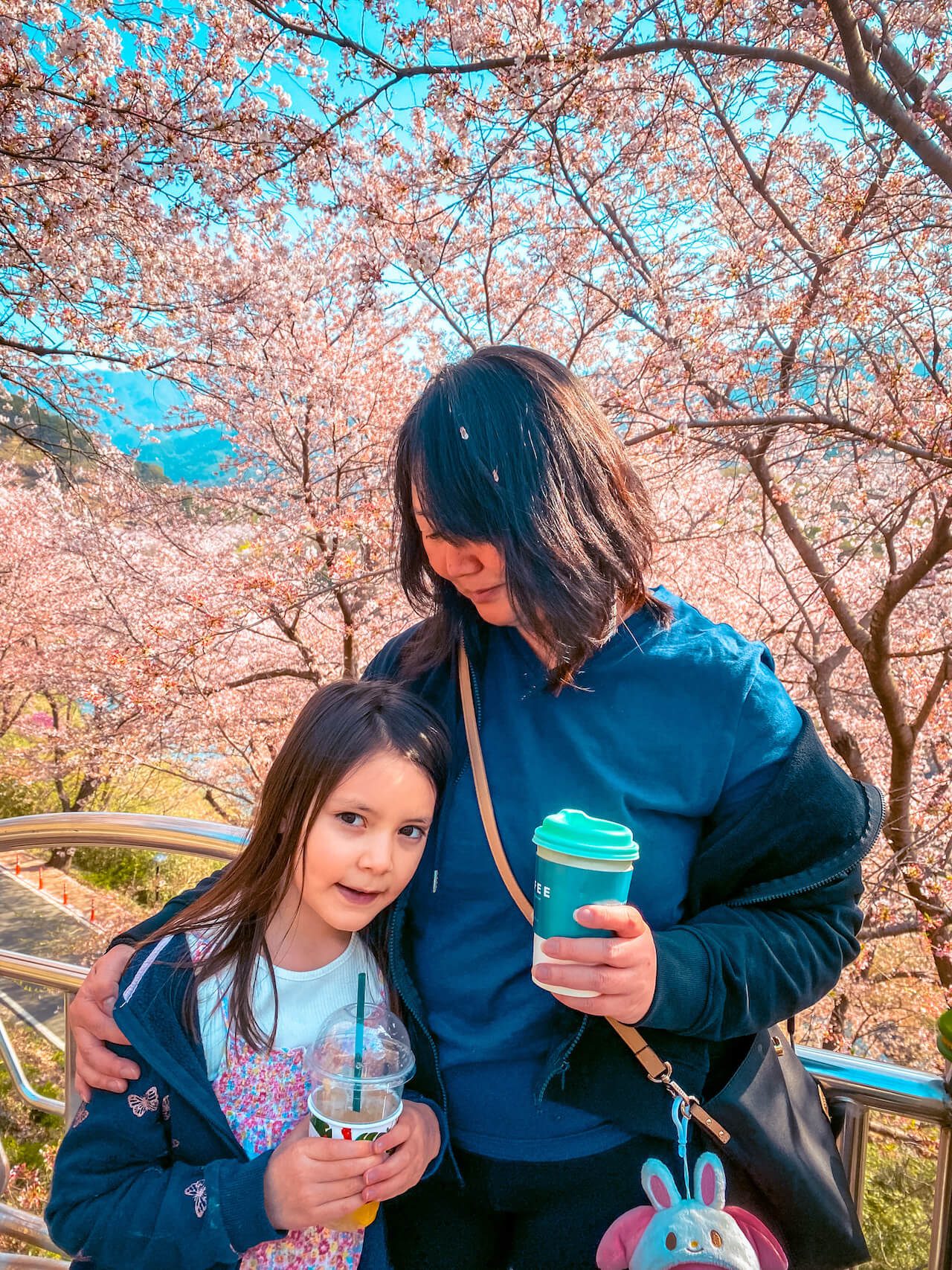 cherry blossoms in korea | hwagae