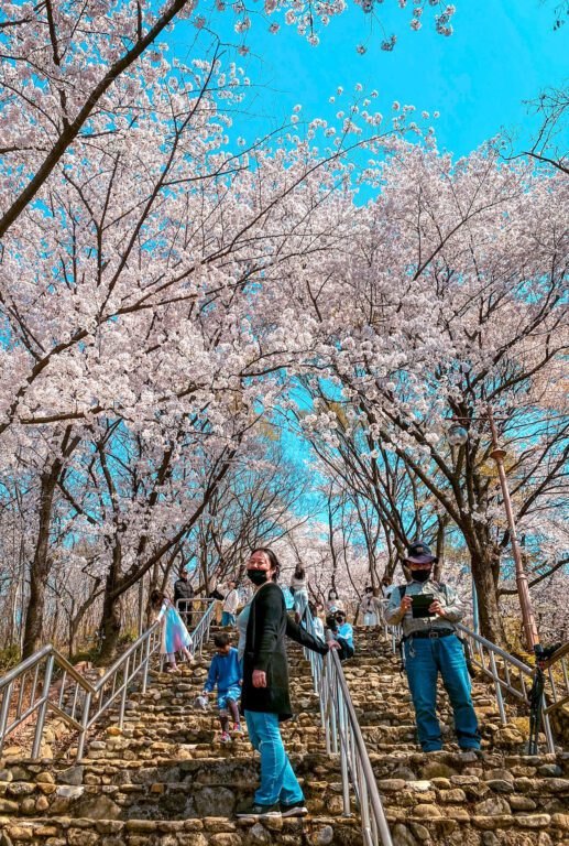 korea in march | chimsanjeong pavilion
