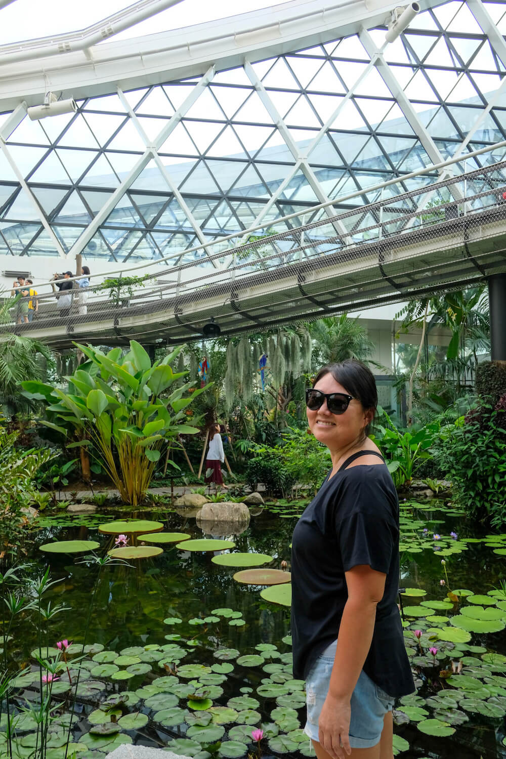 lotus pond at seoul botanic garden