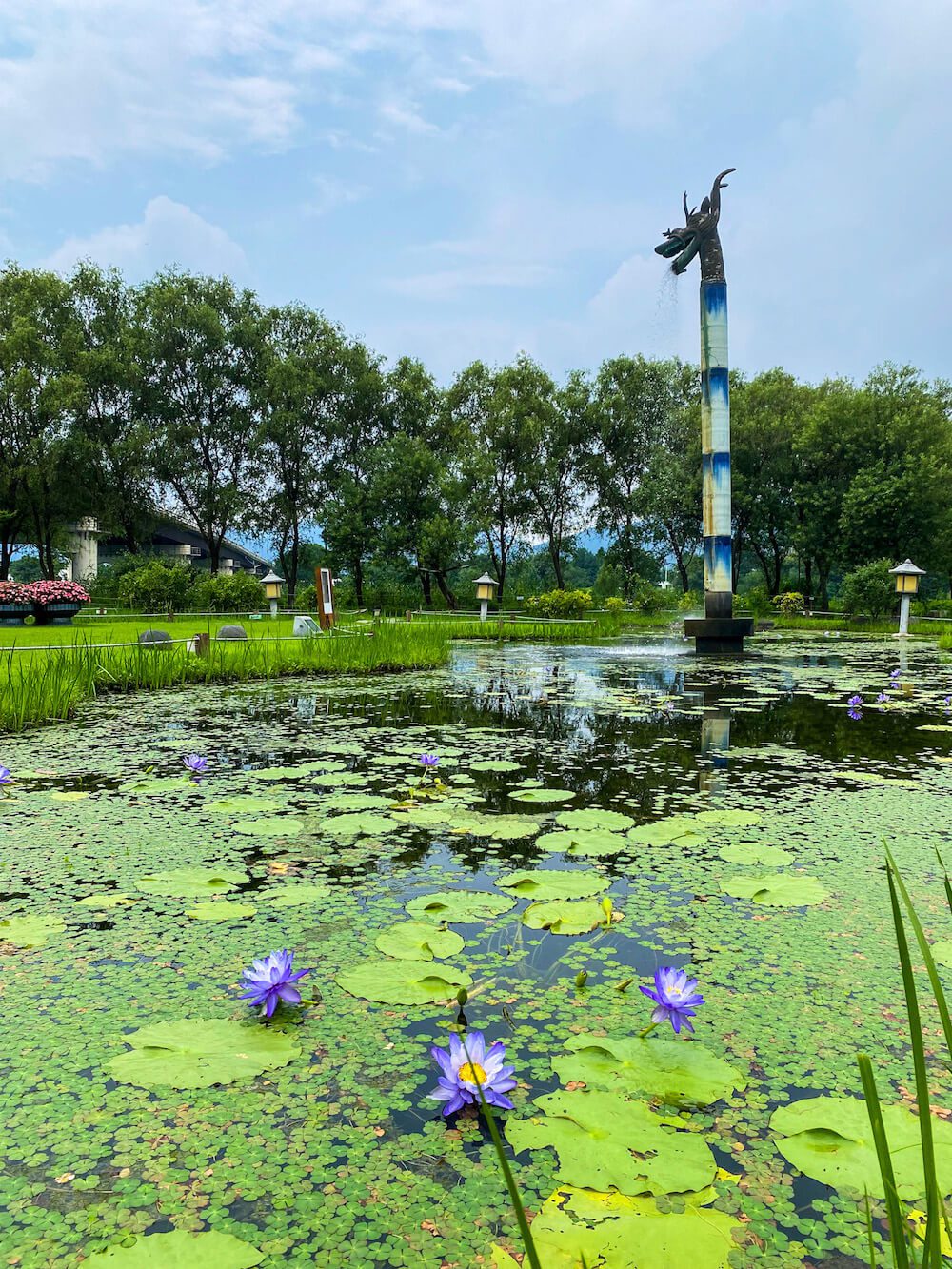 lotuses near seoul at semiwon garden