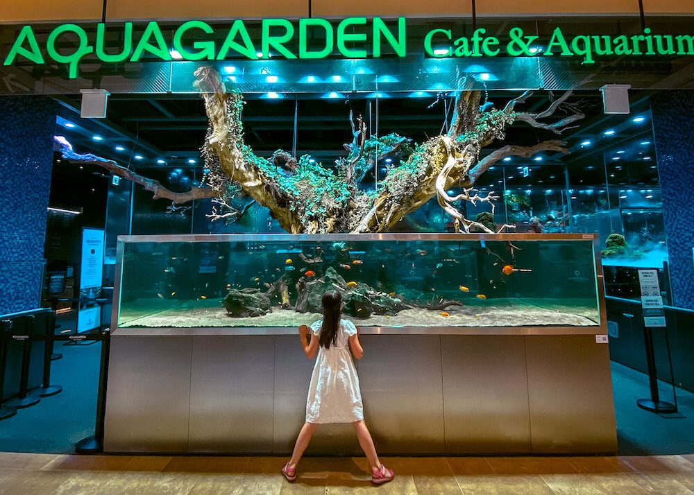 aquagarden cafe and aquarium in seoul