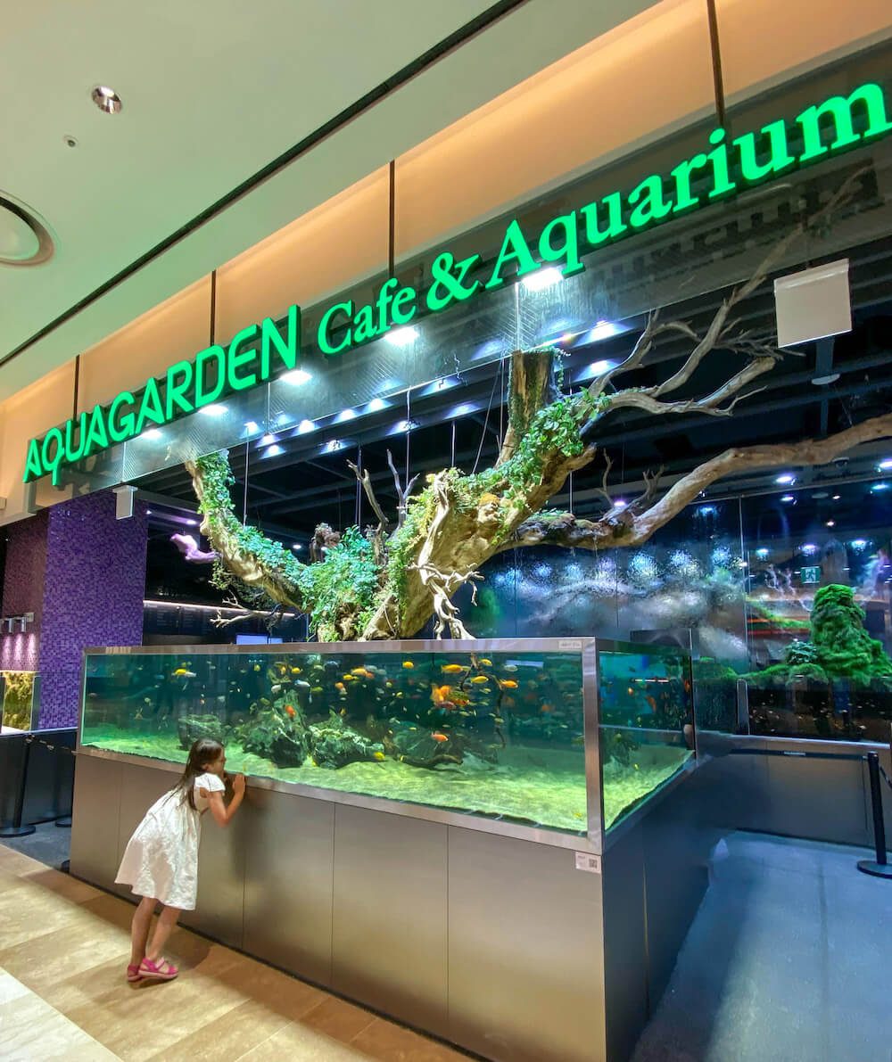 aquagarden cafe and aquarium lotte world mall seoul