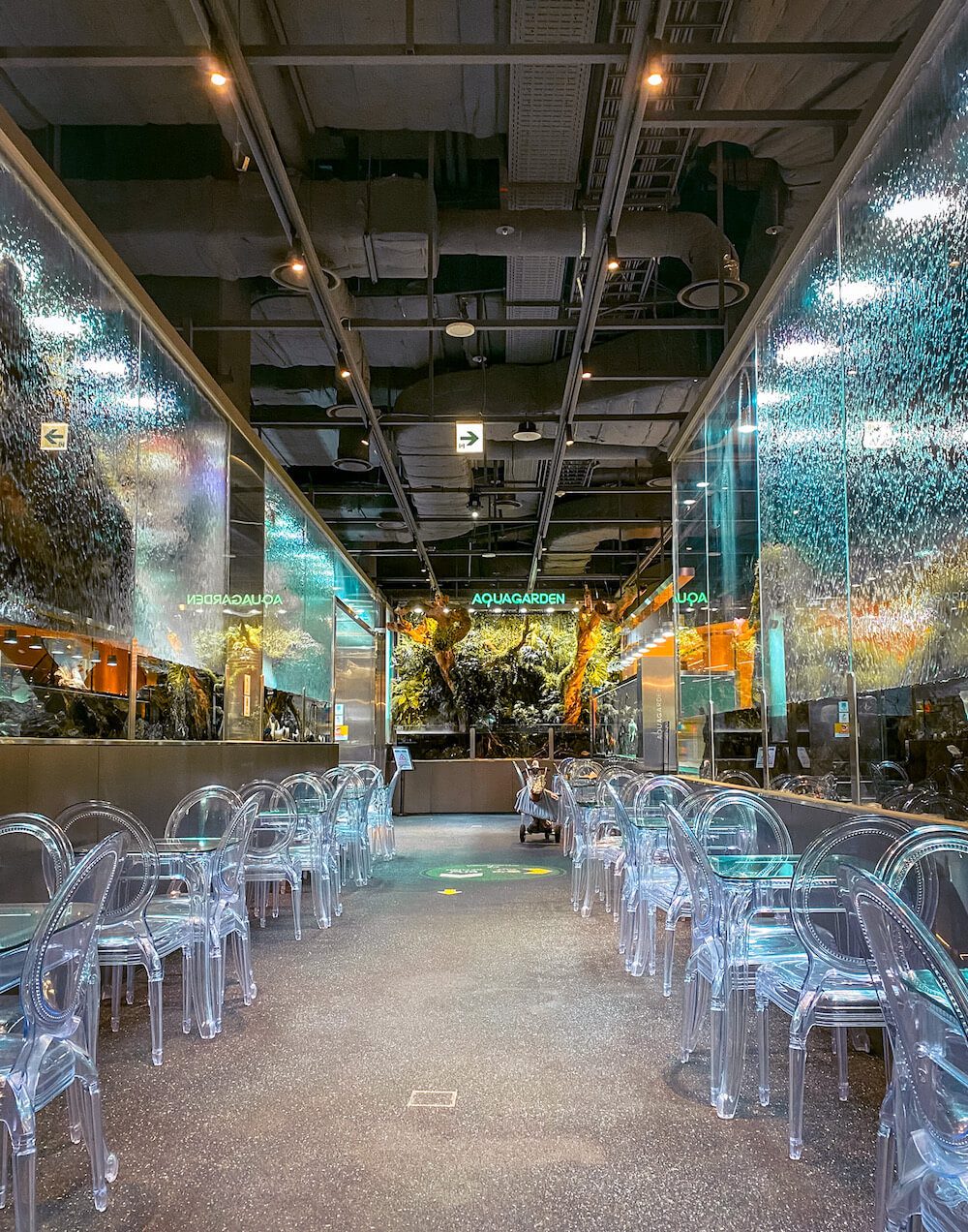 aquarium cafe in seoul | aquagarden cafe