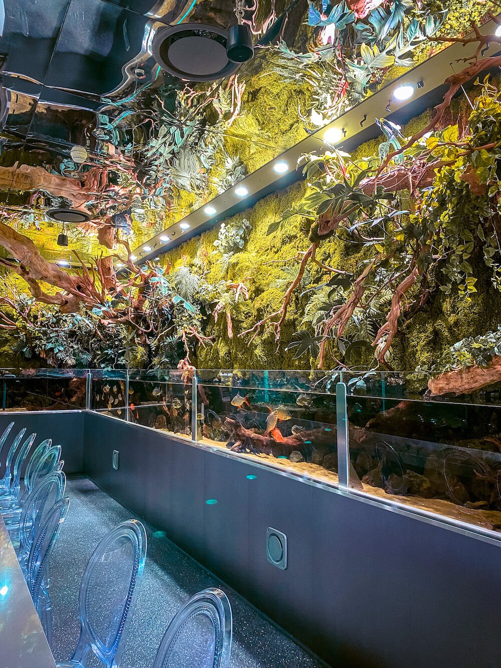 aquagarden cafe and aquarium in seoul