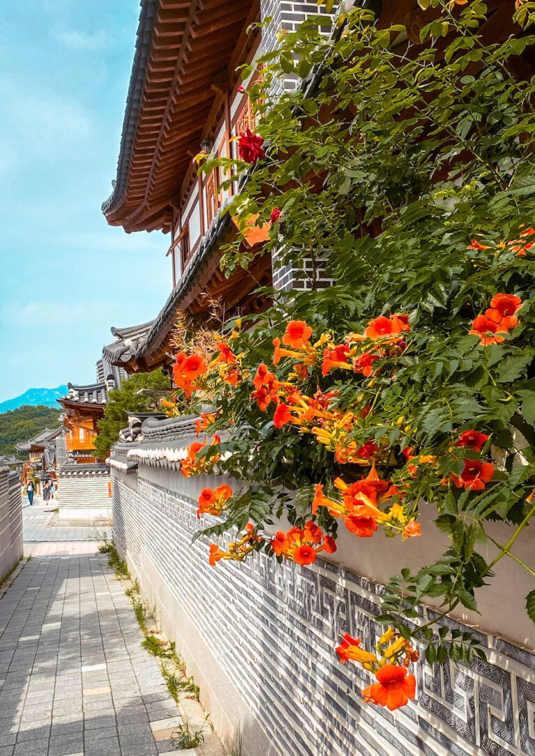 eunpyeong hanok village trumpet vines