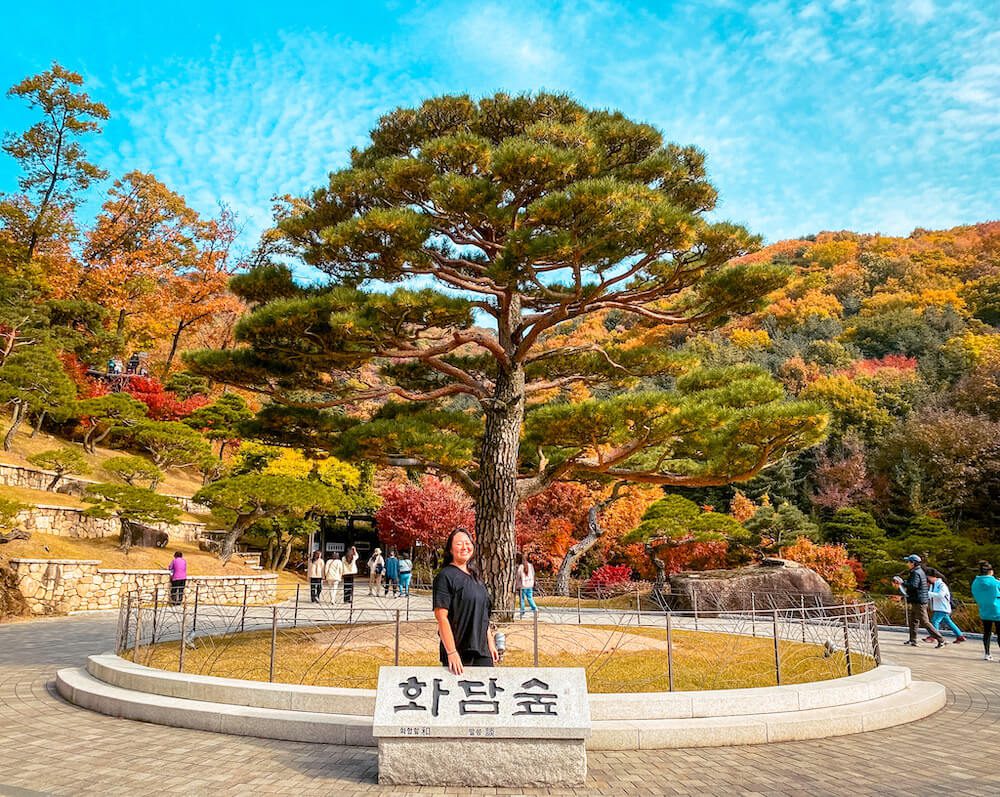 hwadam botanic garden in korea