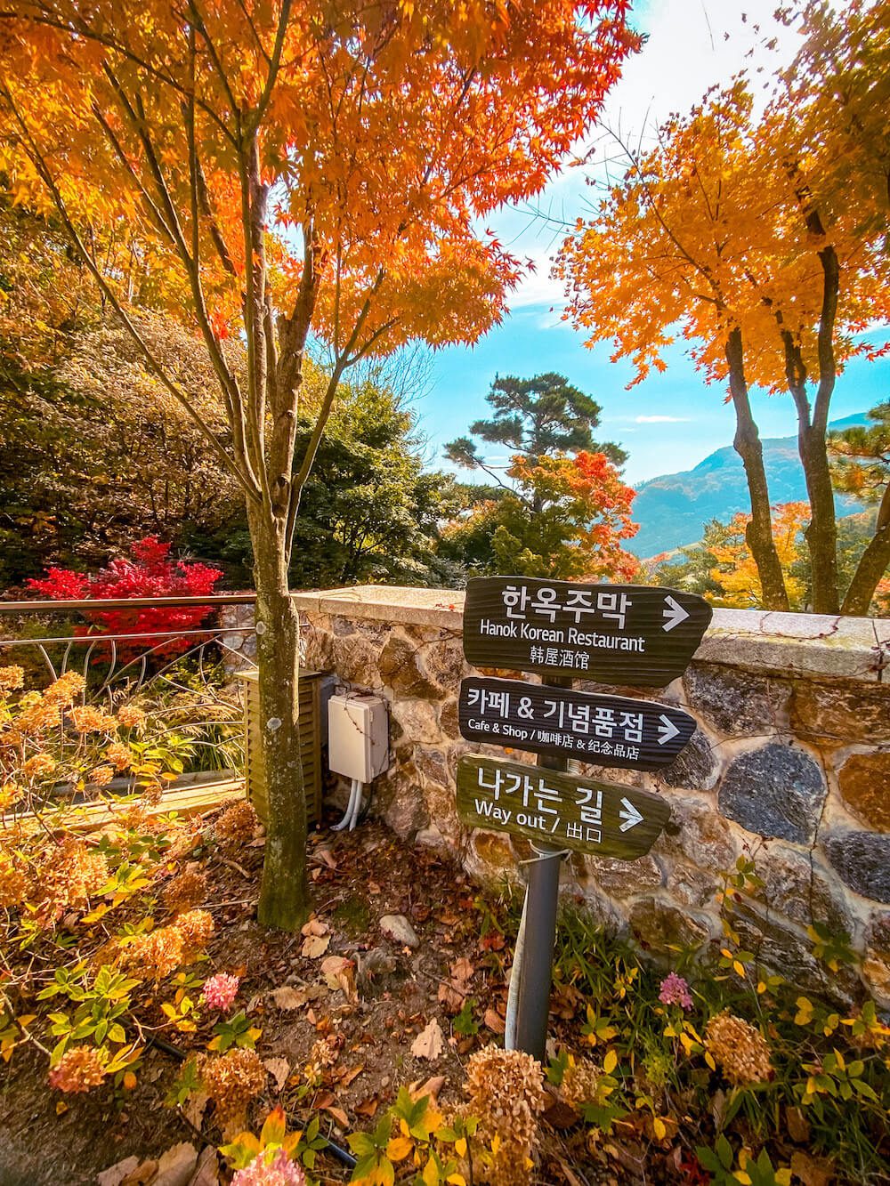 hwadam botanic garden korea