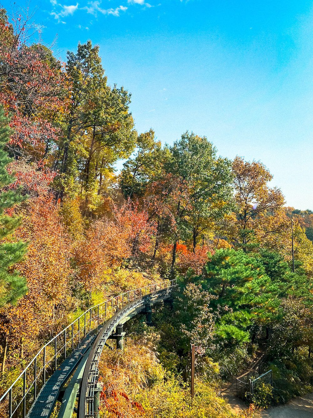 Hwadam botanic garden monorail