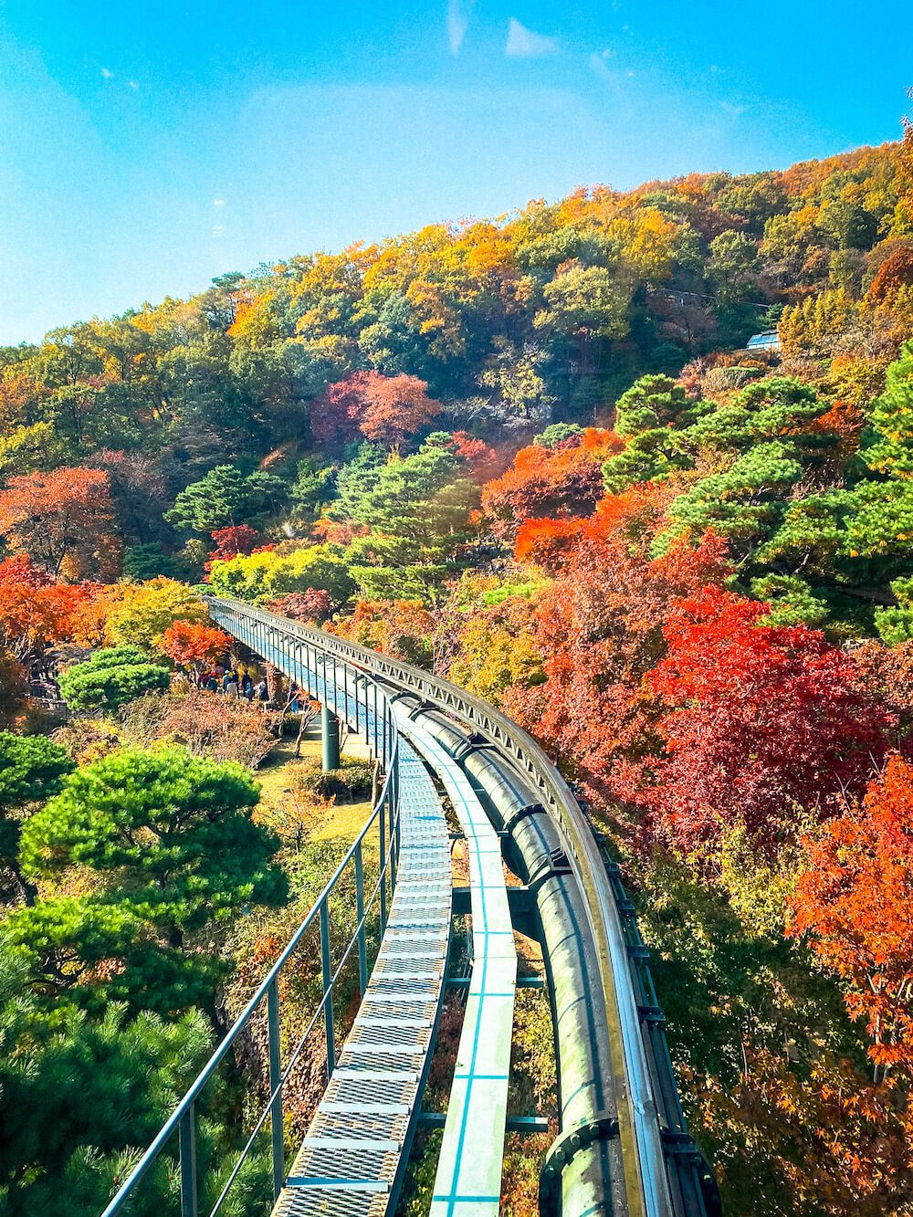 hwadam botanic garden view from monorail