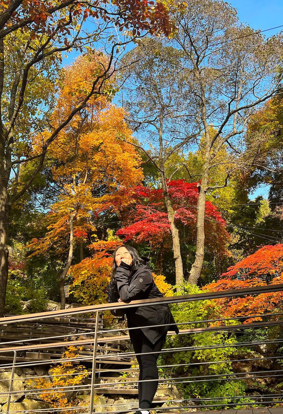 hwadam botanic garden autumn korea