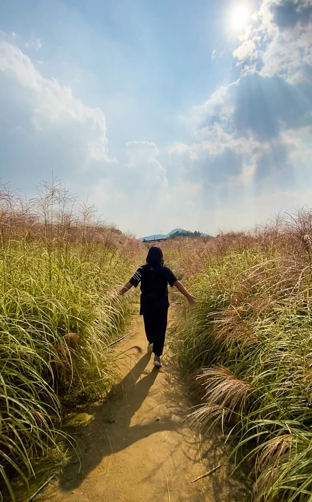 yangju nari farm in october