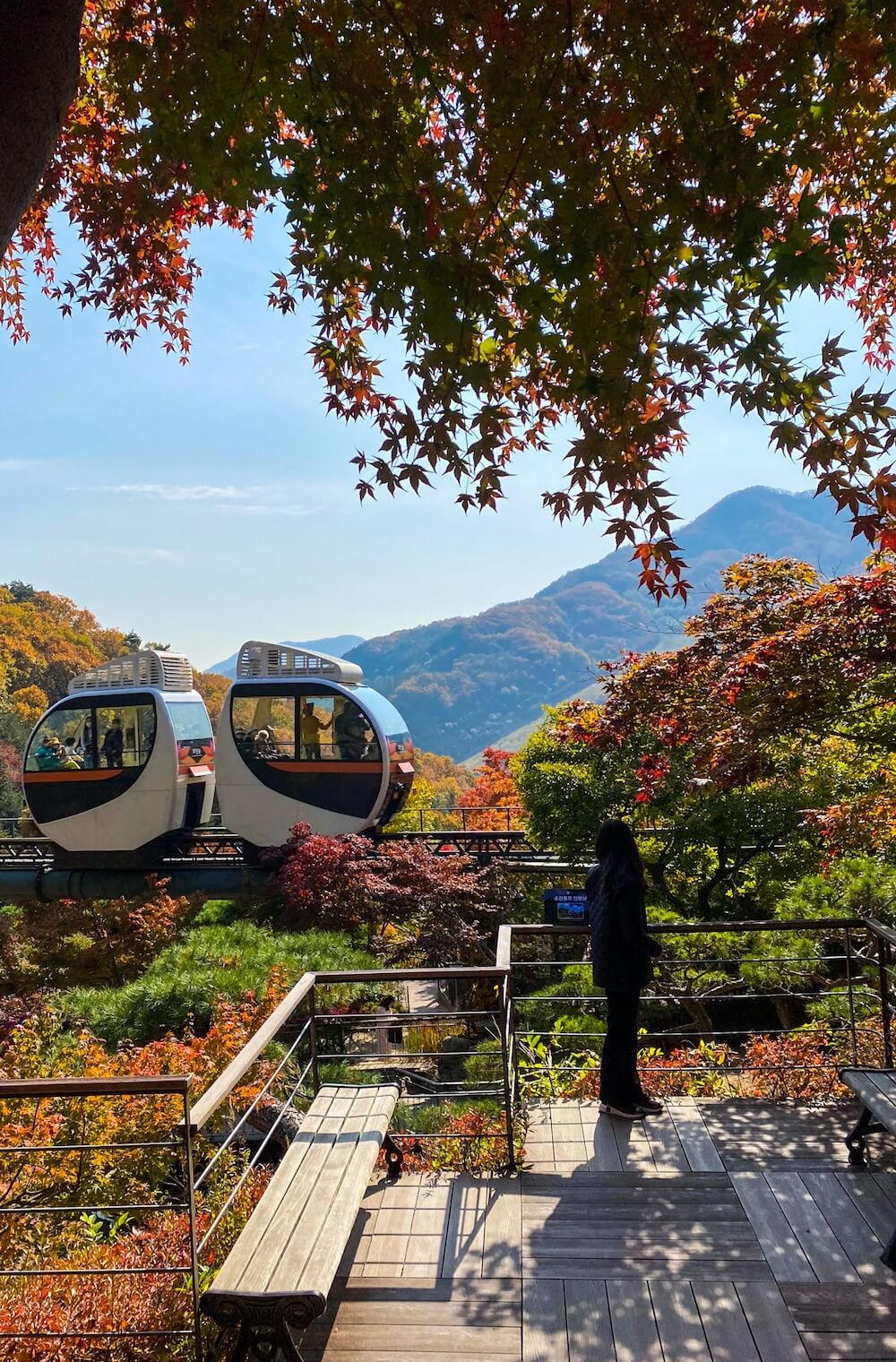 hwadam botanic garden monorail