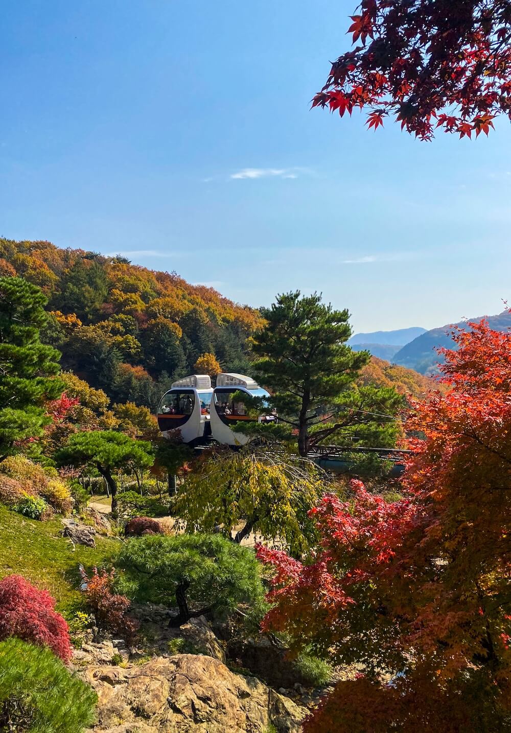 hwadam botanic garden monorail in autumn