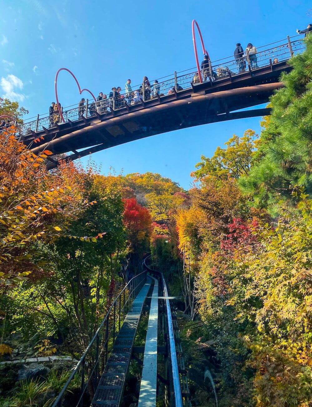 hwadam botanic garden gwangju korea