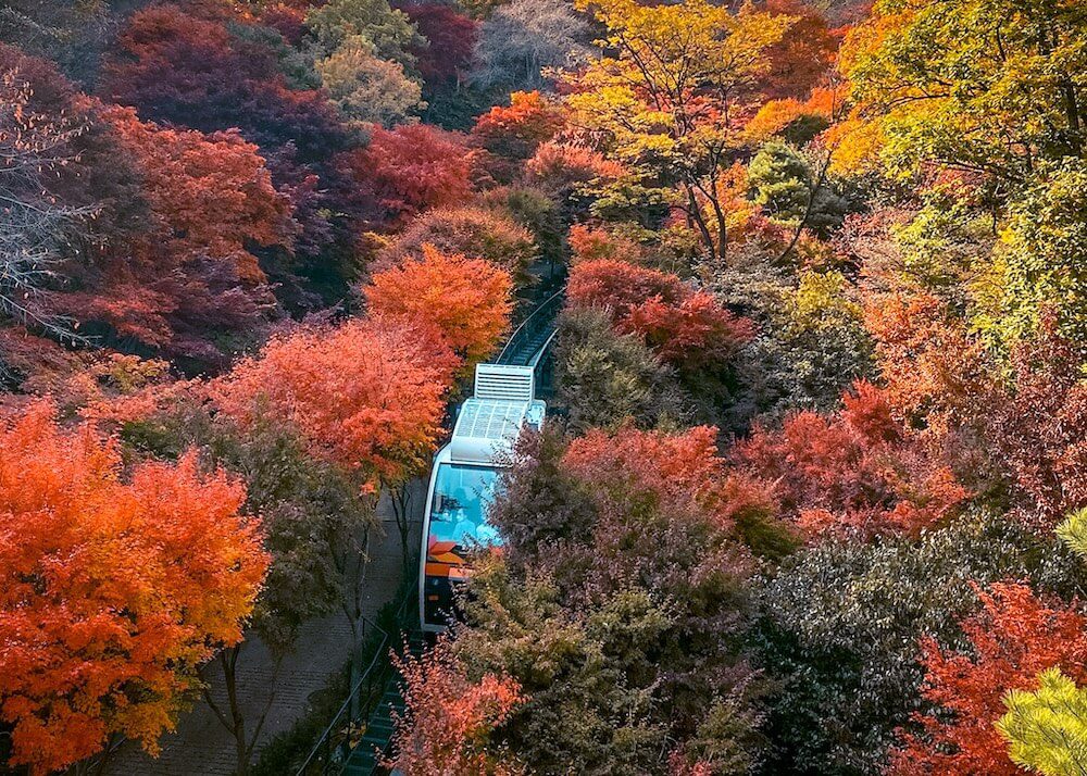 hwadam botanic garden in autumn