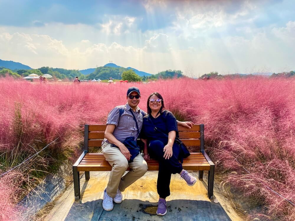 pink muhly in korea | yangju nari park