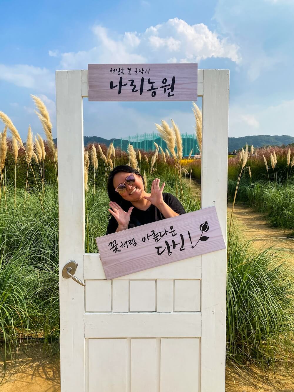 yangju nari park