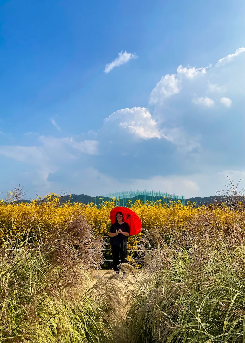 yangju nari farm in autumn