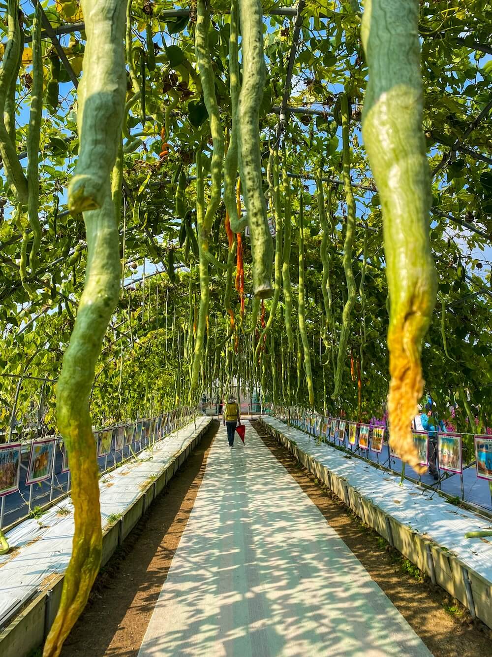 yangju nari farm