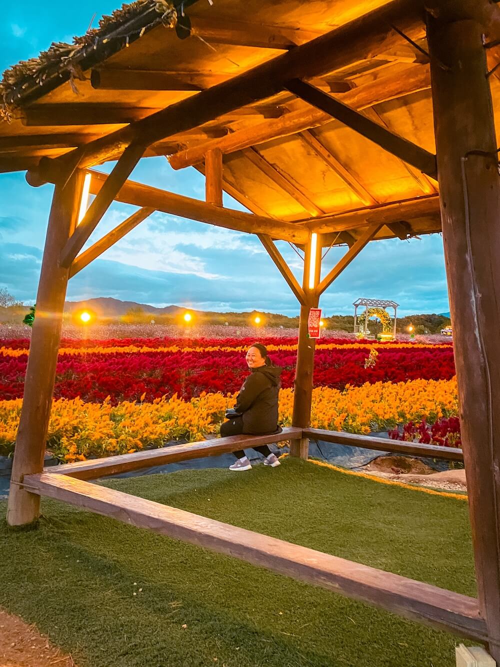 autumn in seoul | goseokjeong pavilion flower garden