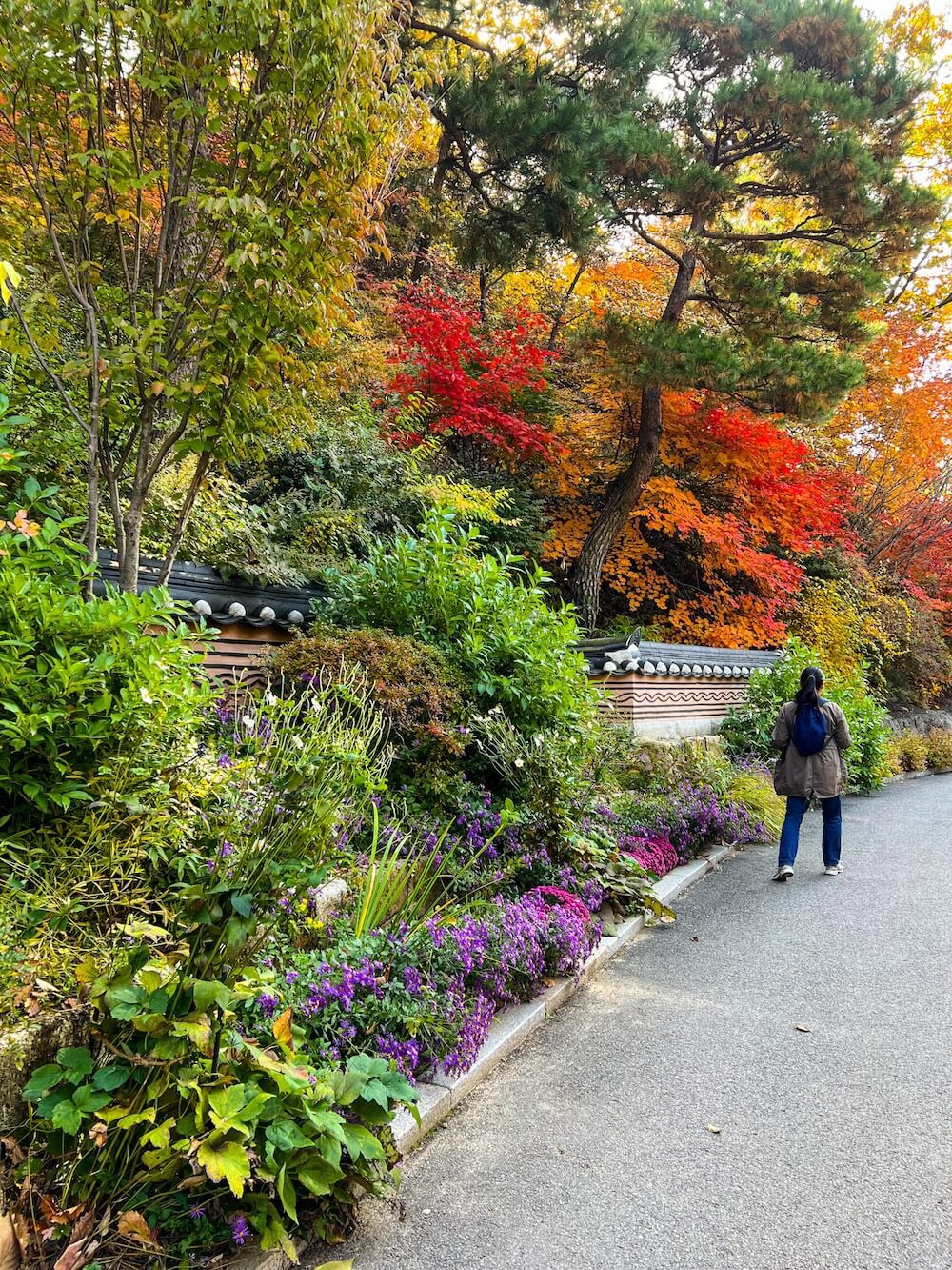 hwadam botanic garden in gwangju